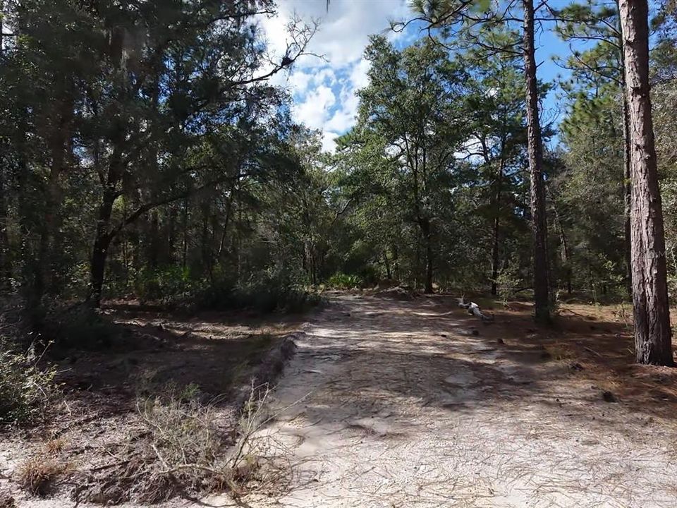For Sale: $124,900 (2.02 acres)