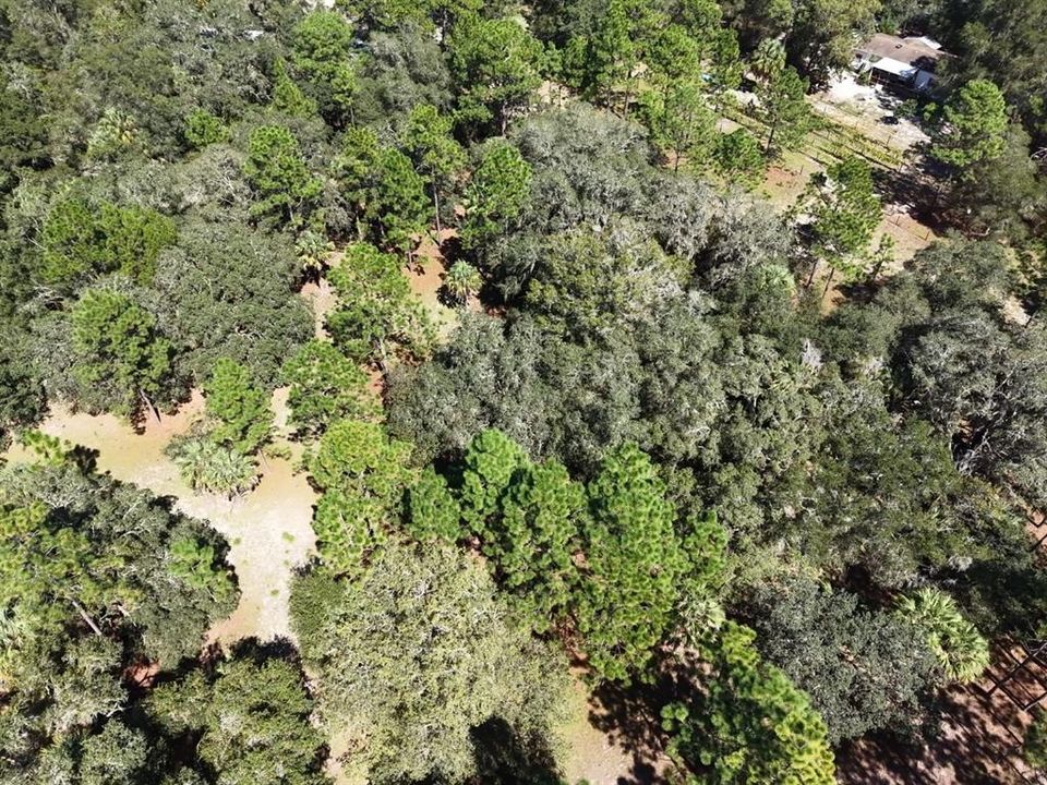 For Sale: $124,900 (2.02 acres)