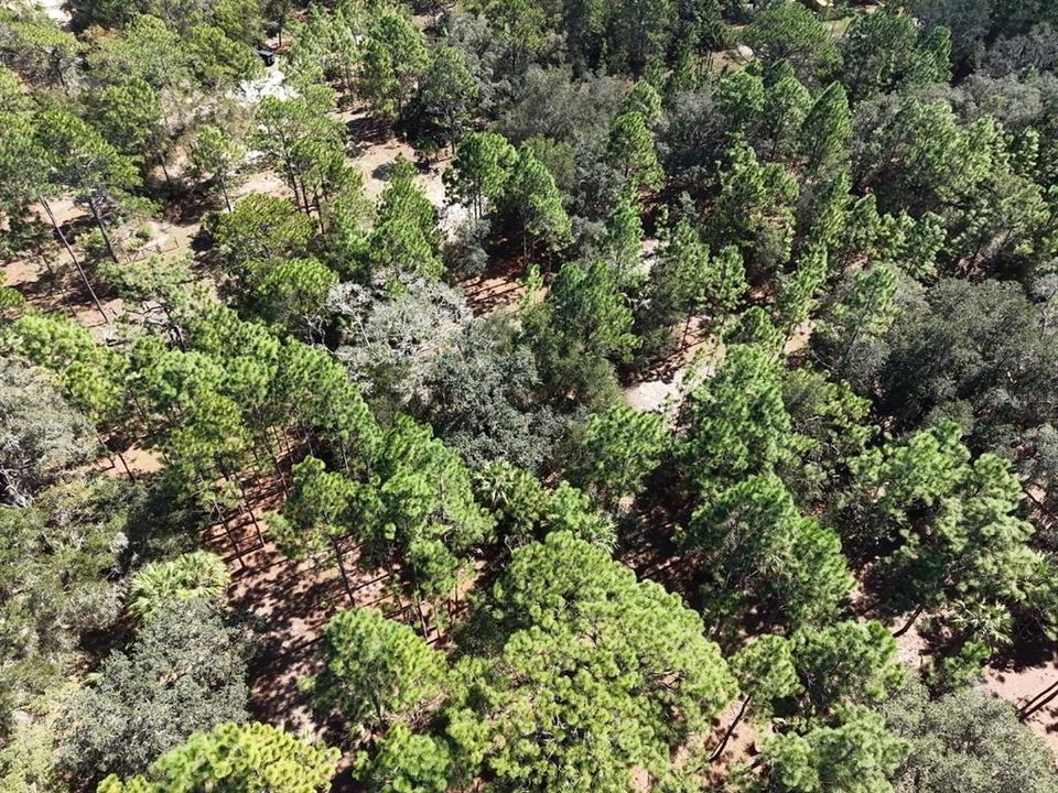 For Sale: $124,900 (2.02 acres)