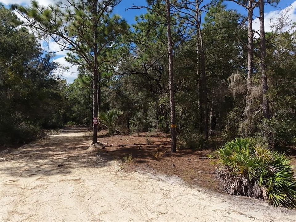 For Sale: $124,900 (2.02 acres)