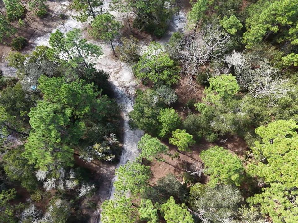 For Sale: $124,900 (2.02 acres)