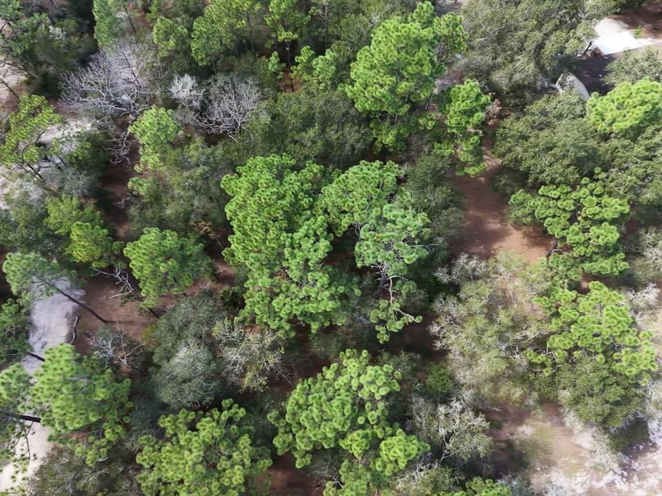 For Sale: $124,900 (2.02 acres)