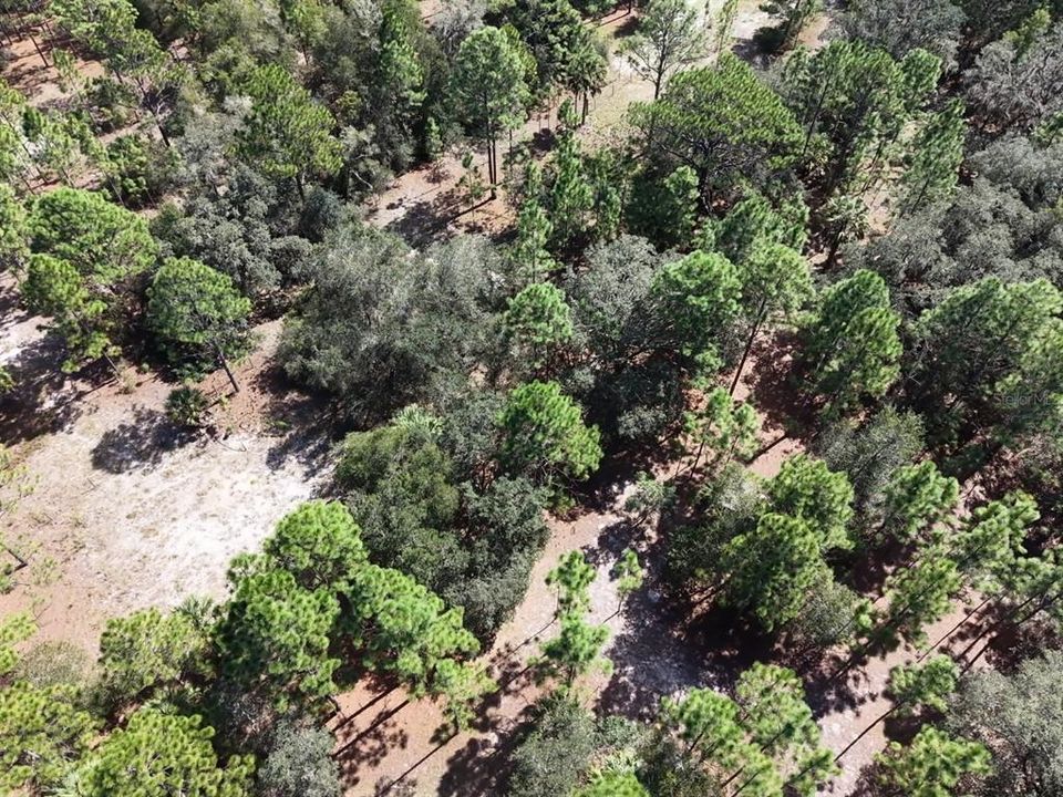 For Sale: $124,900 (2.02 acres)