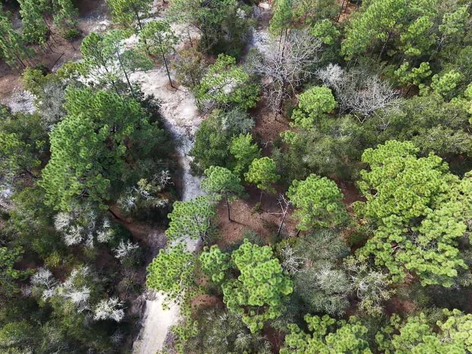 For Sale: $124,900 (2.02 acres)