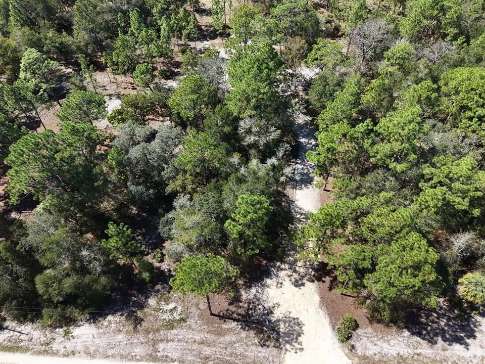For Sale: $124,900 (2.02 acres)