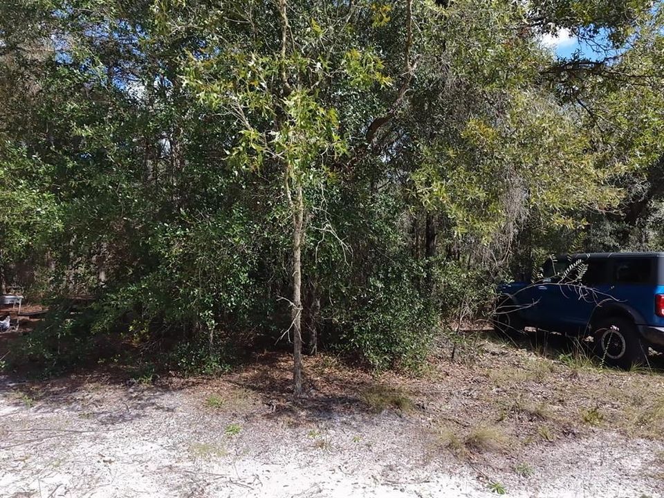 For Sale: $124,900 (2.02 acres)