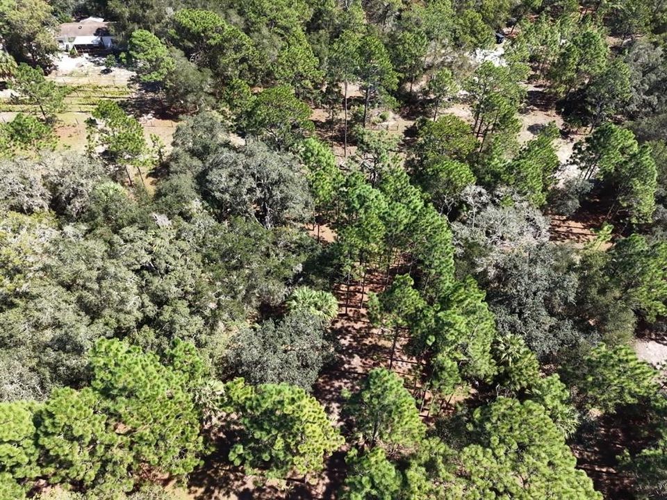 For Sale: $124,900 (2.02 acres)