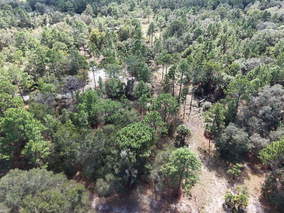 For Sale: $124,900 (2.02 acres)
