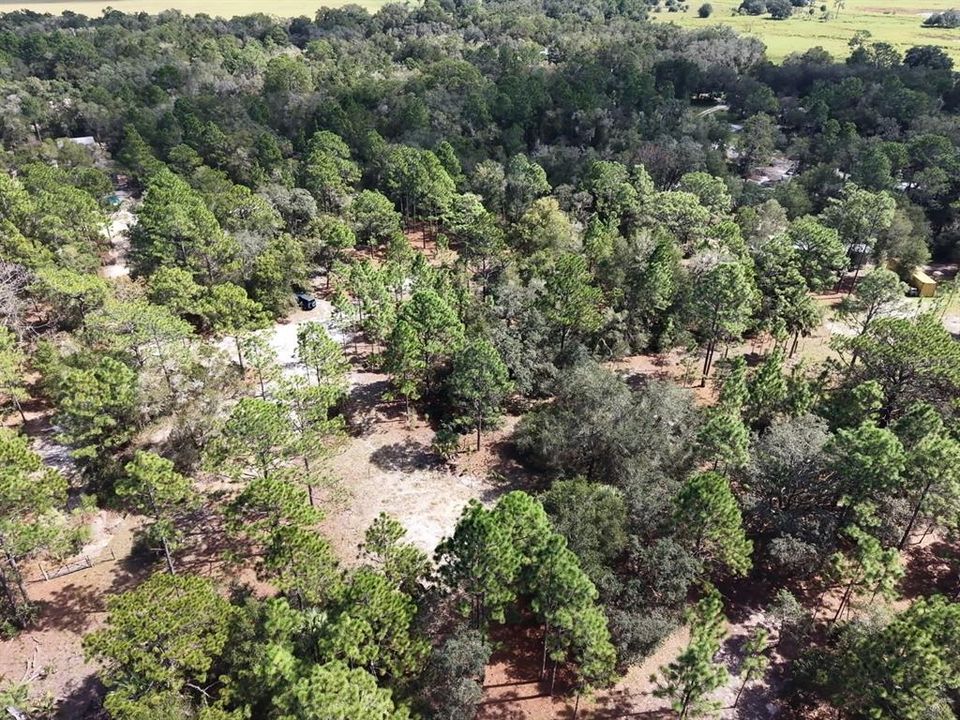 For Sale: $124,900 (2.02 acres)
