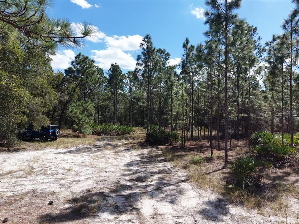 For Sale: $124,900 (2.02 acres)