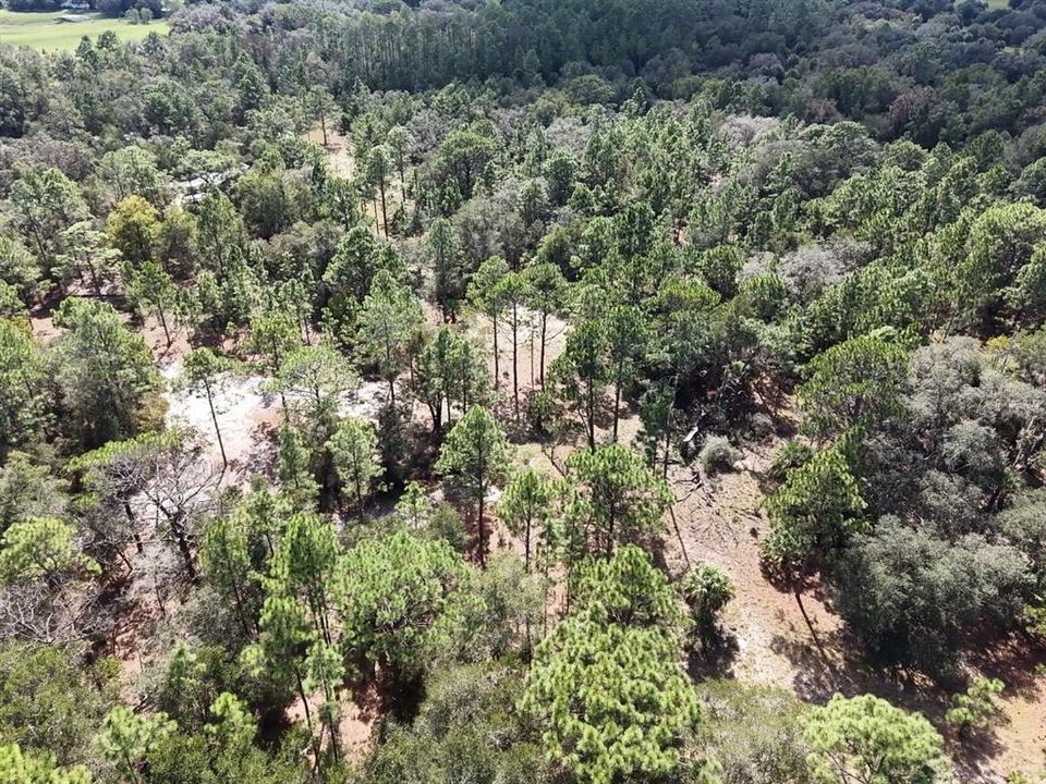 For Sale: $124,900 (2.02 acres)