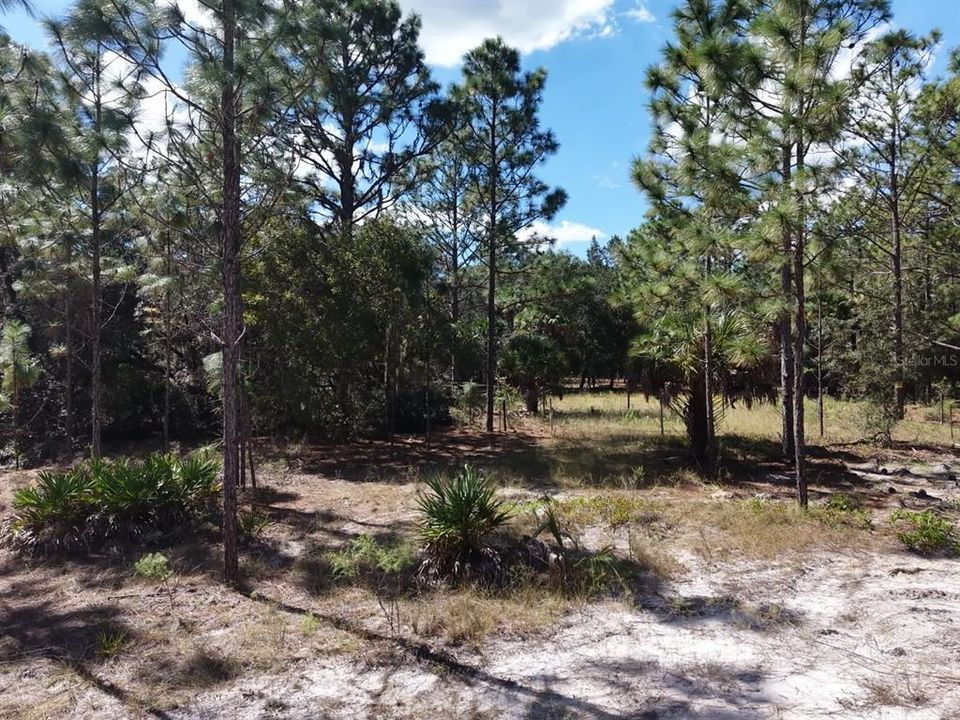 For Sale: $124,900 (2.02 acres)
