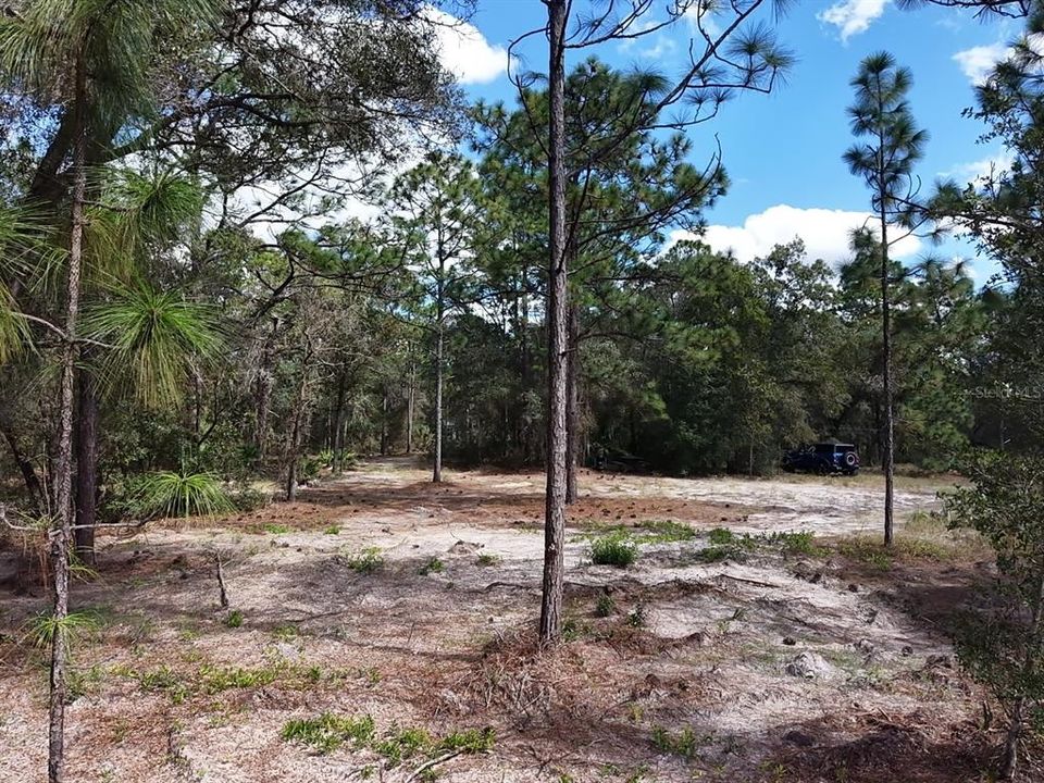 For Sale: $124,900 (2.02 acres)