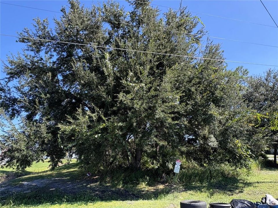 待售: $55,000 (0.23 acres)