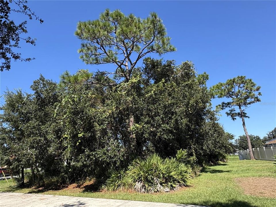 待售: $55,000 (0.23 acres)