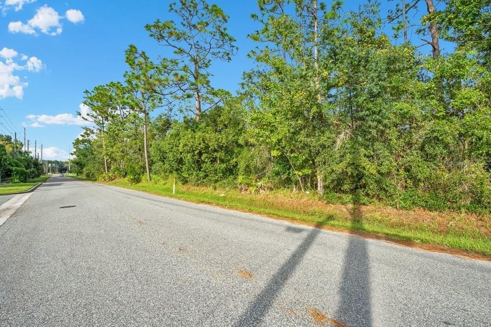 For Sale: $250,000 (1.39 acres)