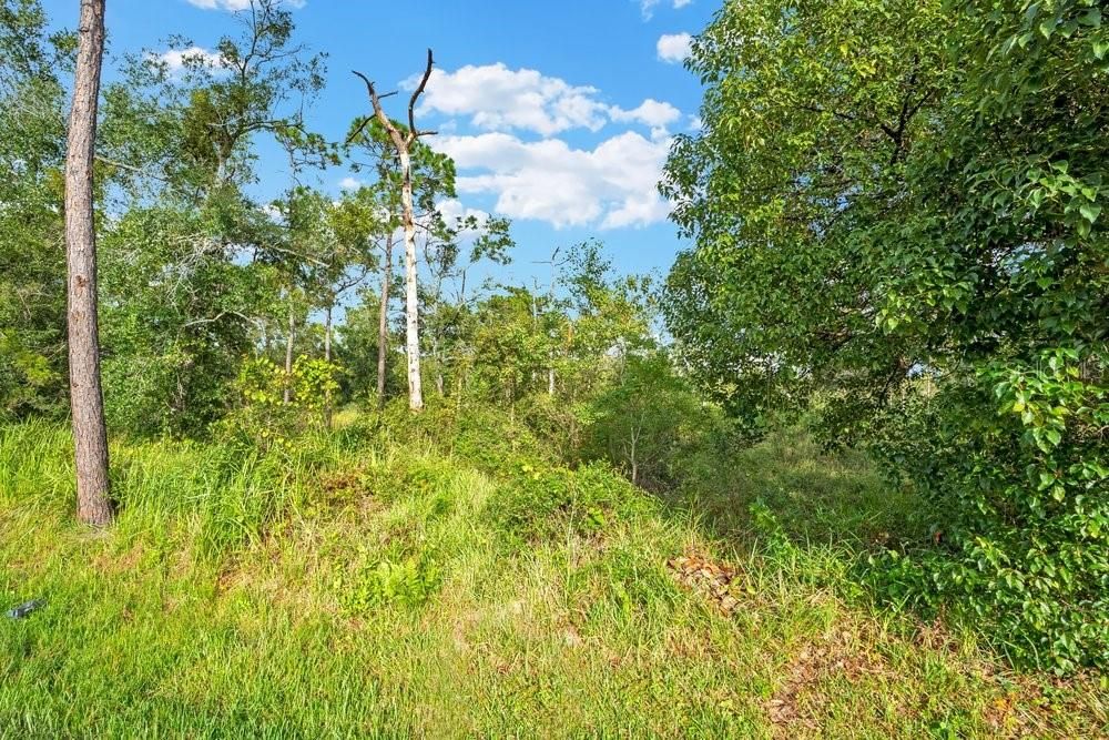 For Sale: $250,000 (1.39 acres)
