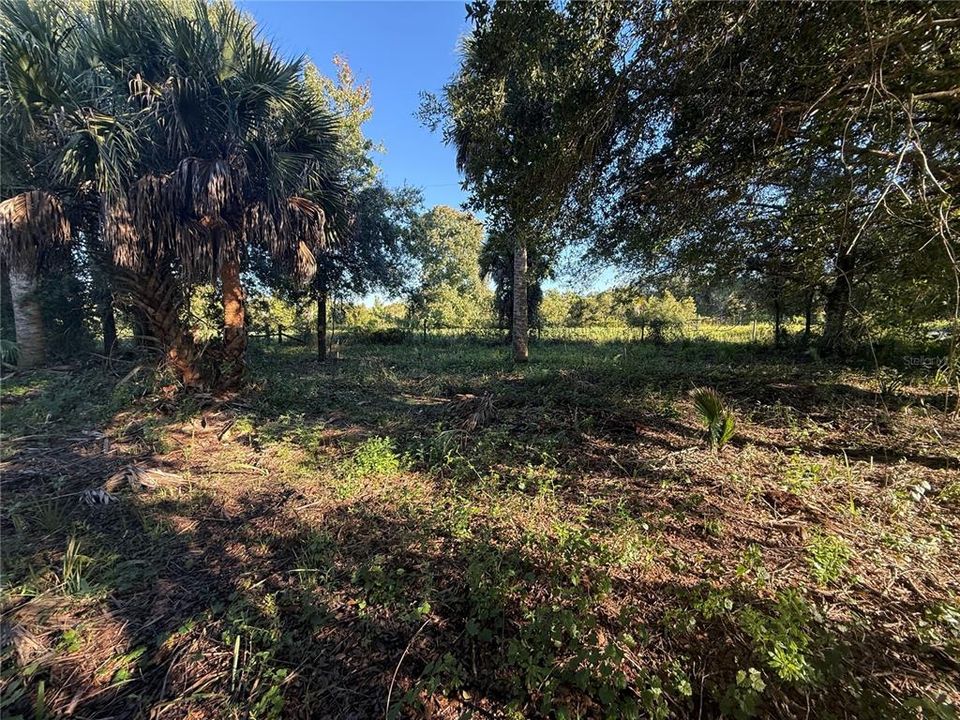 На продажу: $34,900 (1.25 acres)