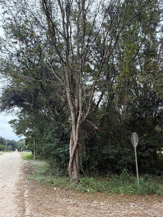 待售: $28,000 (0.26 acres)