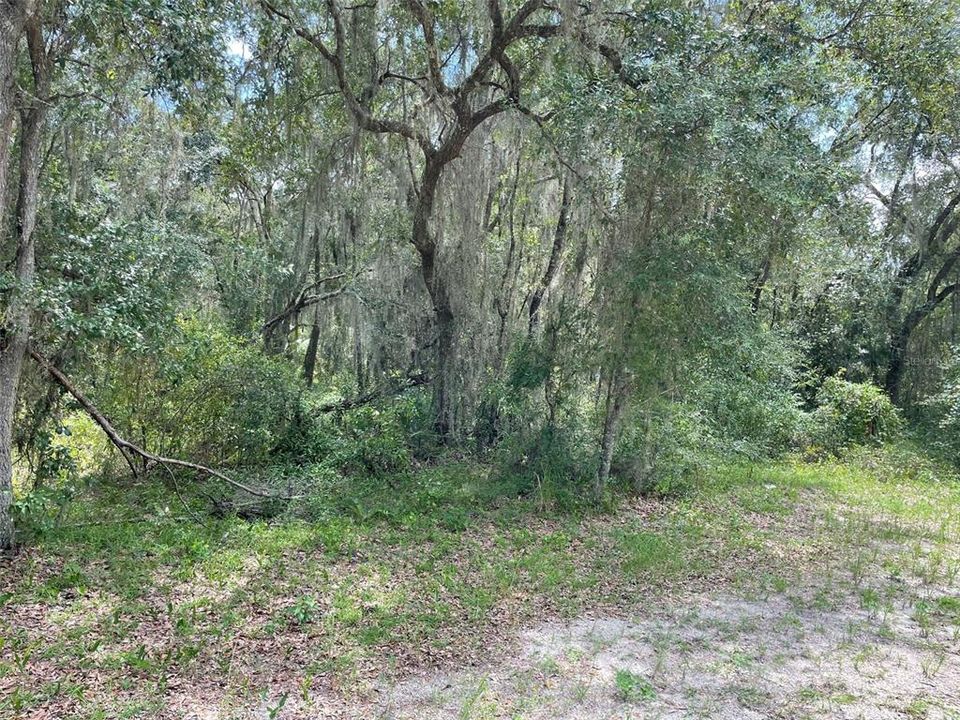 En Venta: $63,750 (0.52 acres)