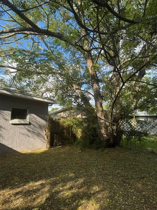 На продажу: $143,000 (3 спален, 2 ванн, 938 Квадратных фут)