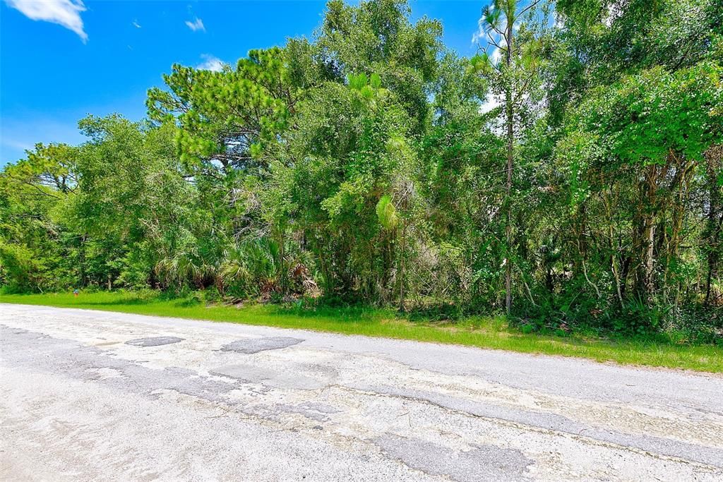 For Sale: $30,000 (0.38 acres)