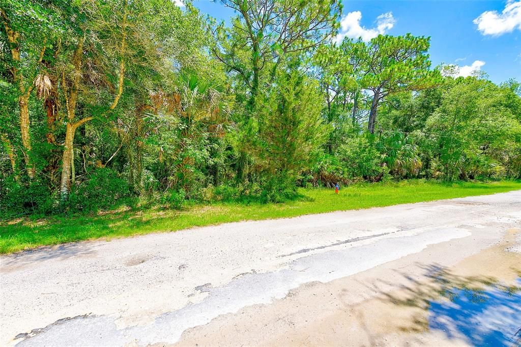 For Sale: $30,000 (0.38 acres)