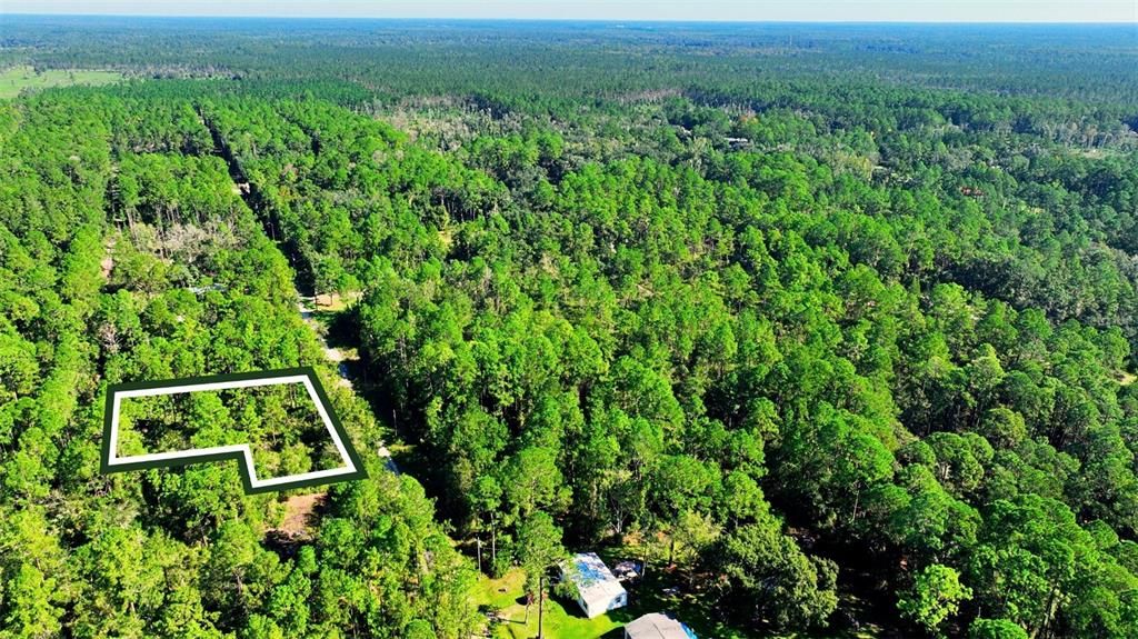 На продажу: $23,500 (1.01 acres)