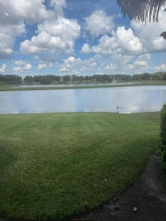 En Venta: $369,500 (3 camas, 2 baños, 1827 Pies cuadrados)