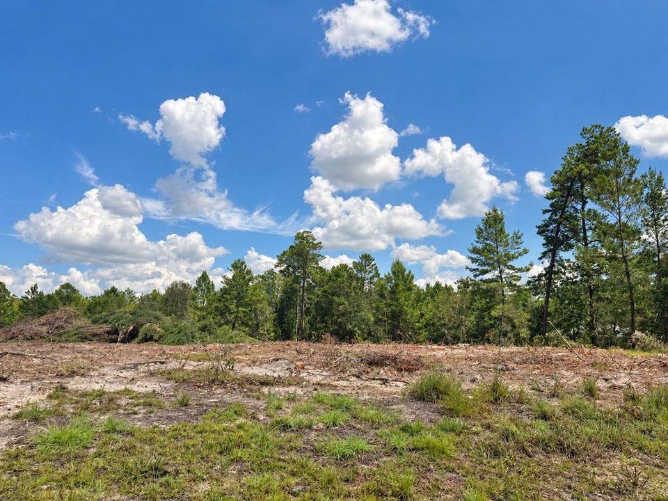 На продажу: $99,000 (5.10 acres)