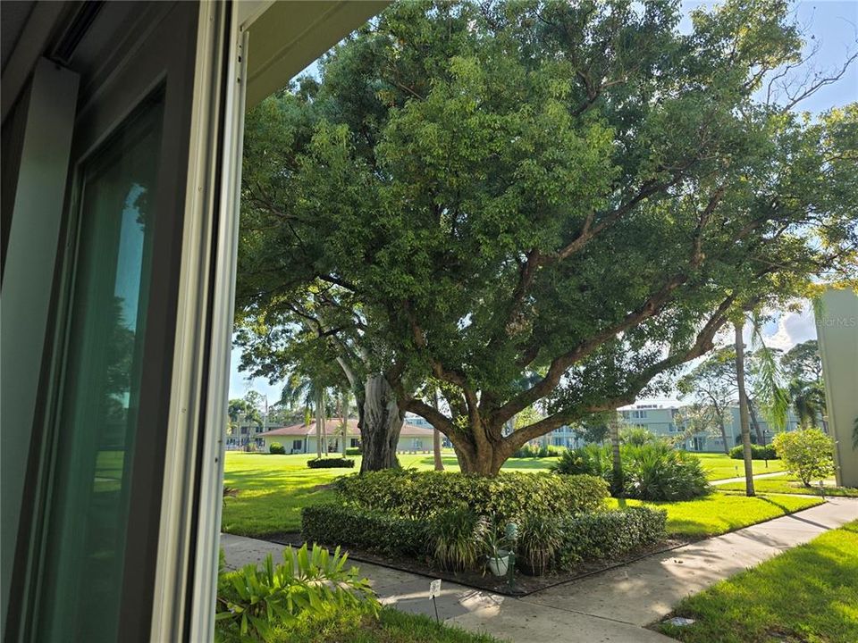 For Rent: $1,795 (2 beds, 1 baths, 925 Square Feet)
