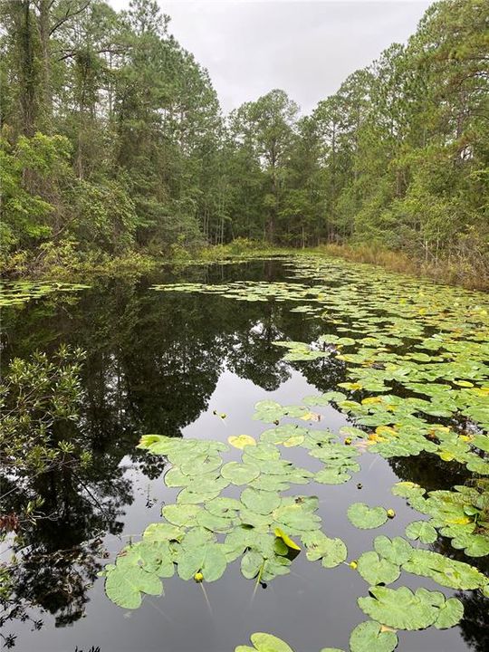 En Venta: $79,900 (5.36 acres)