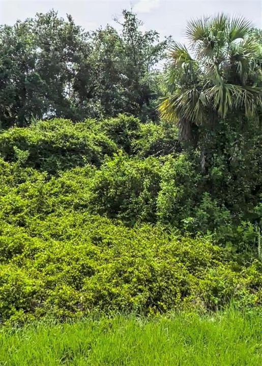На продажу: $37,500 (0.23 acres)