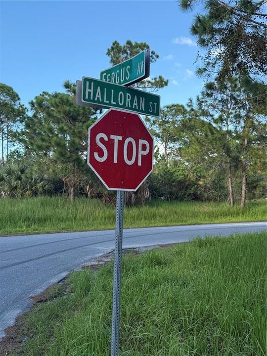 На продажу: $39,900 (0.27 acres)
