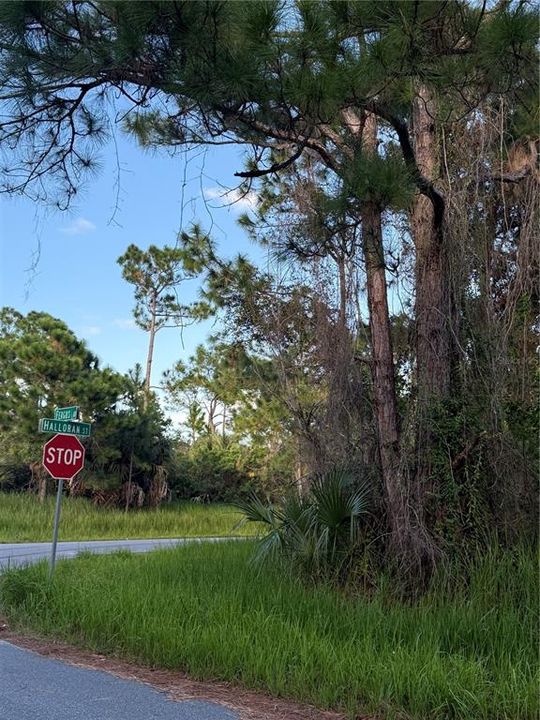 На продажу: $39,900 (0.27 acres)