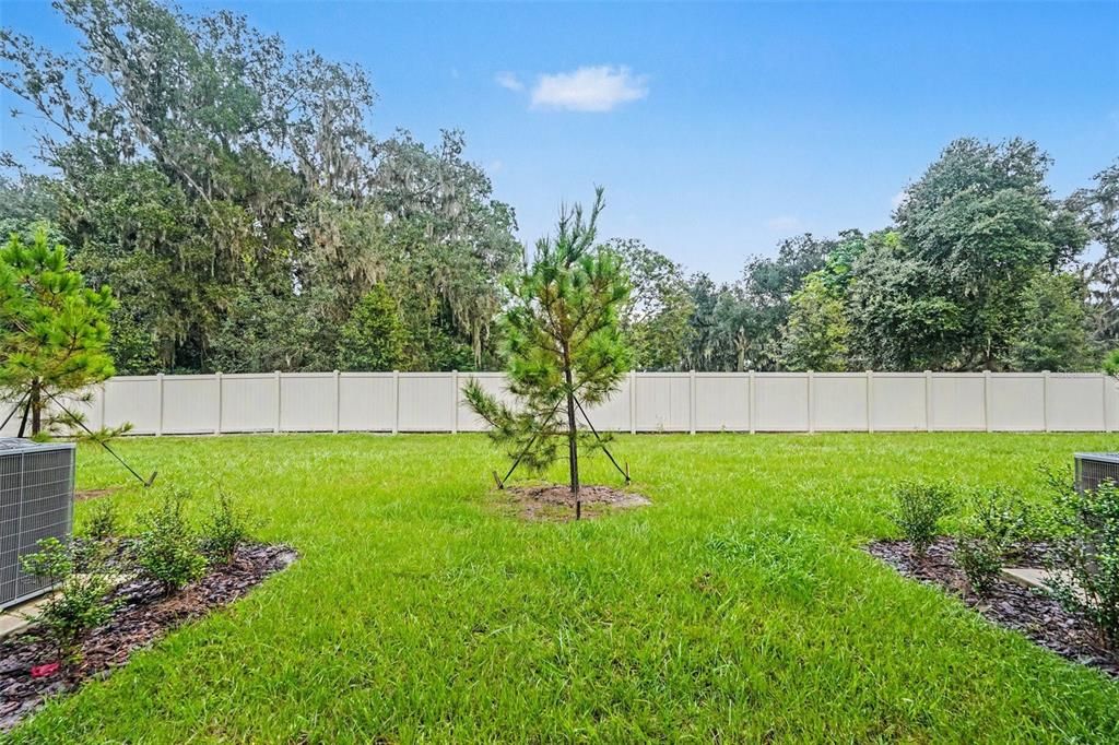 For Sale: $250,000 (3 beds, 2 baths, 1801 Square Feet)