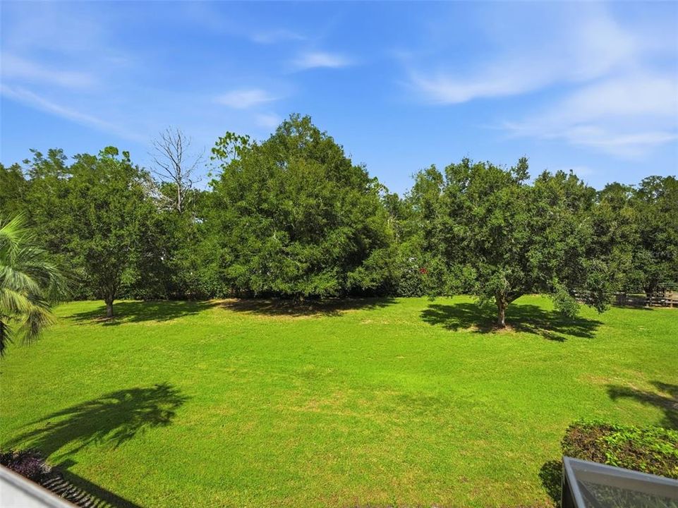 For Sale: $3,100,000 (4 beds, 4 baths, 5217 Square Feet)