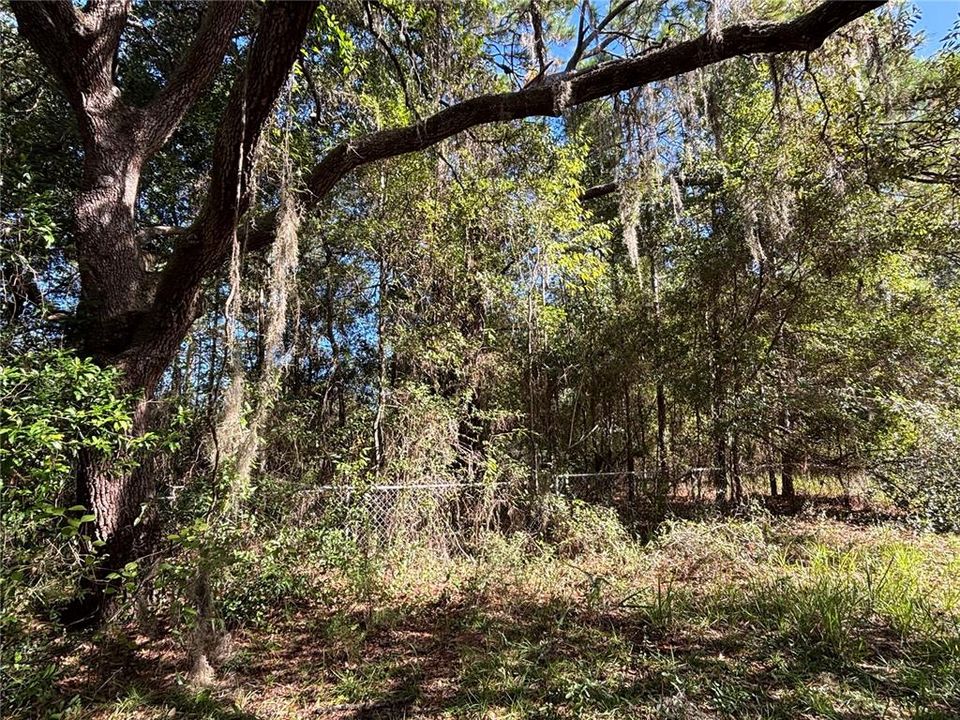 En Venta: $30,000 (1.06 acres)