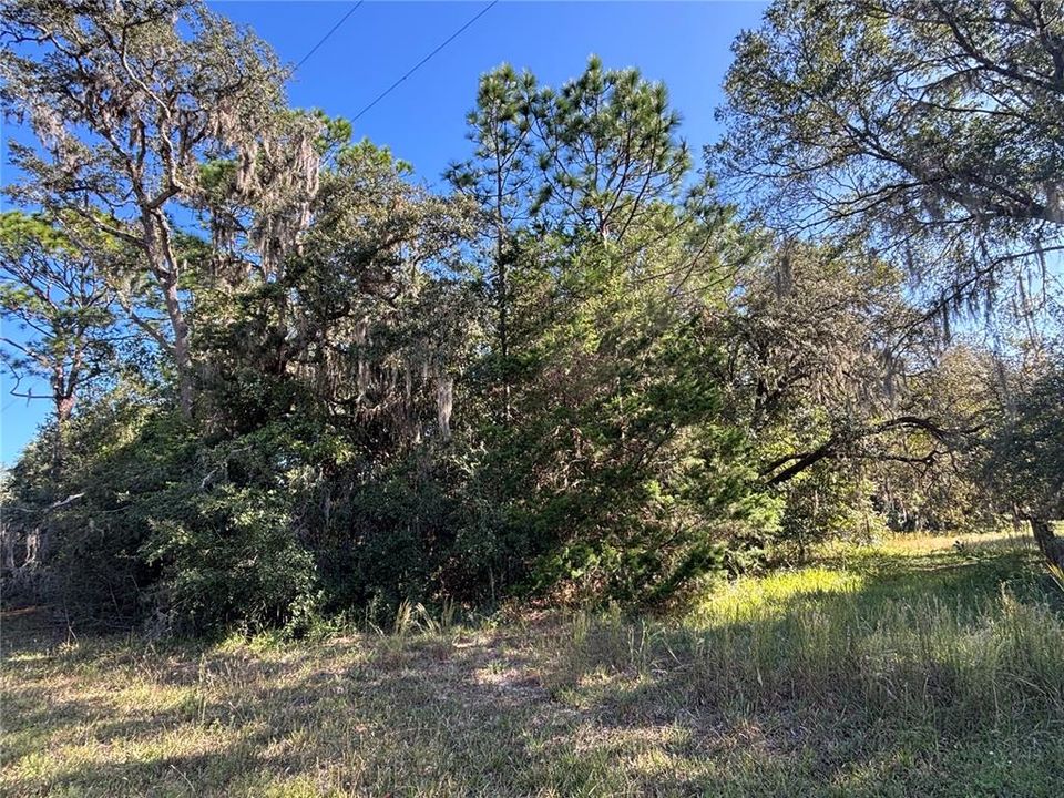 En Venta: $30,000 (1.06 acres)