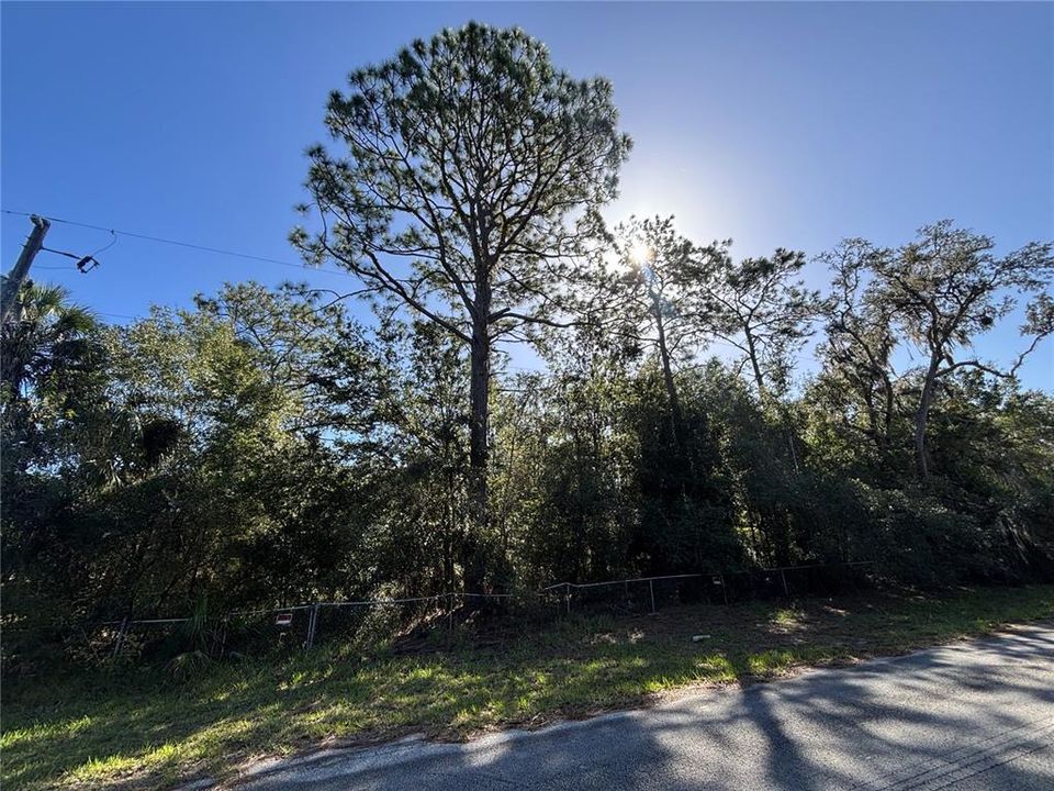 En Venta: $30,000 (1.06 acres)