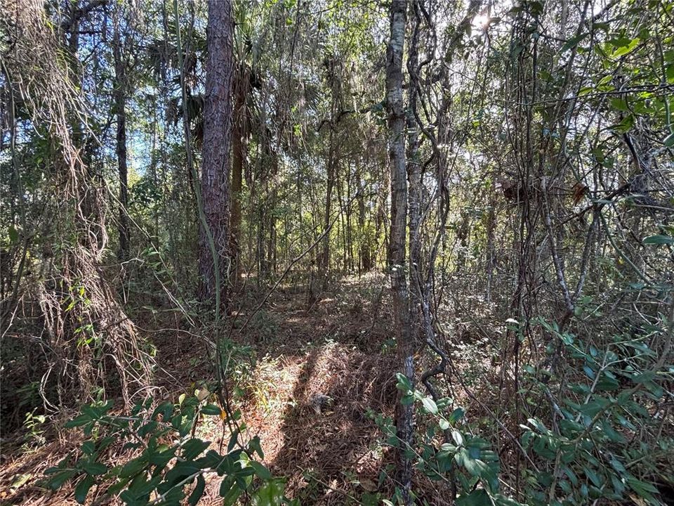 En Venta: $30,000 (1.06 acres)