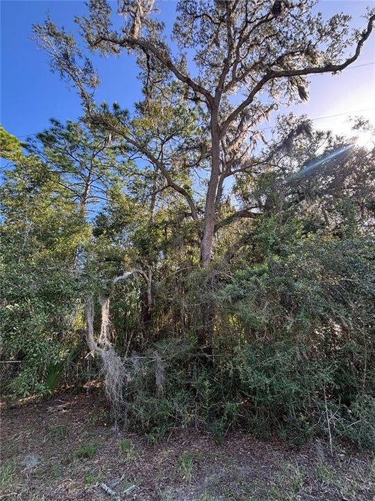 En Venta: $30,000 (1.06 acres)
