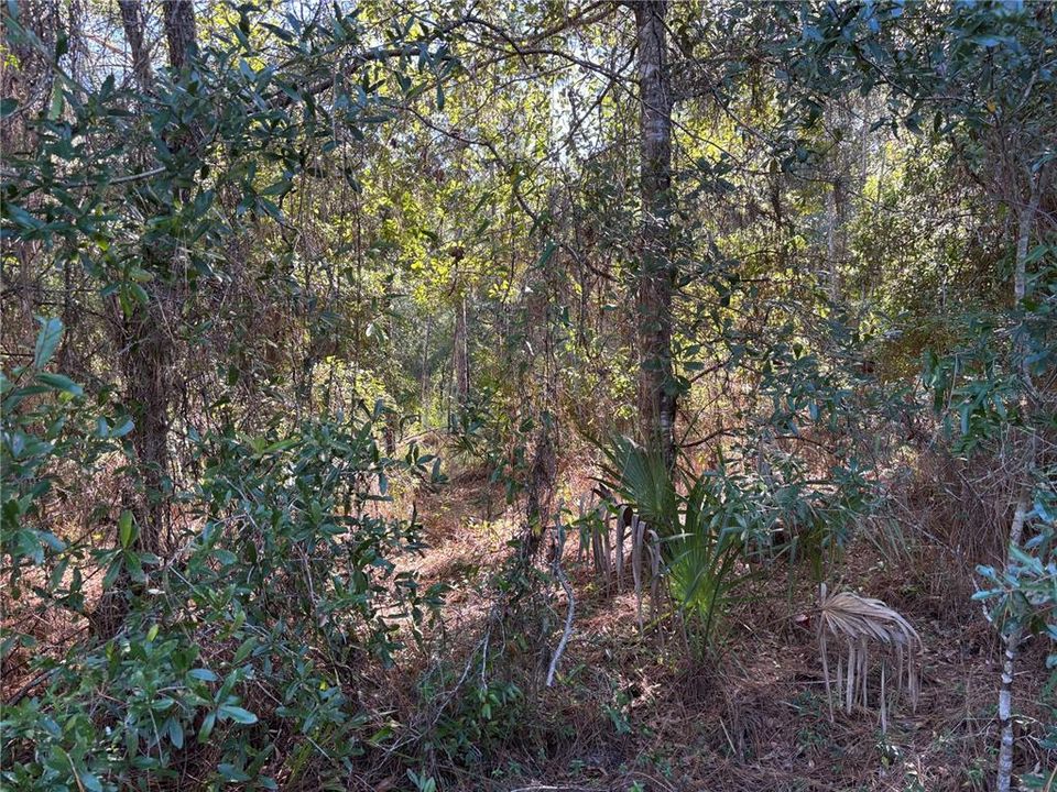 En Venta: $30,000 (1.06 acres)
