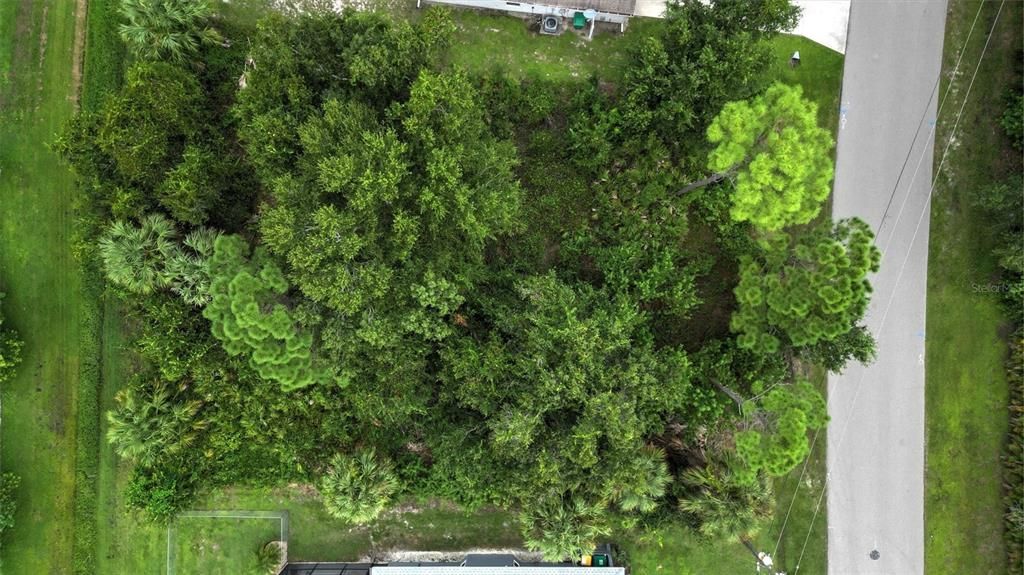 For Sale: $50,000 (0.25 acres)