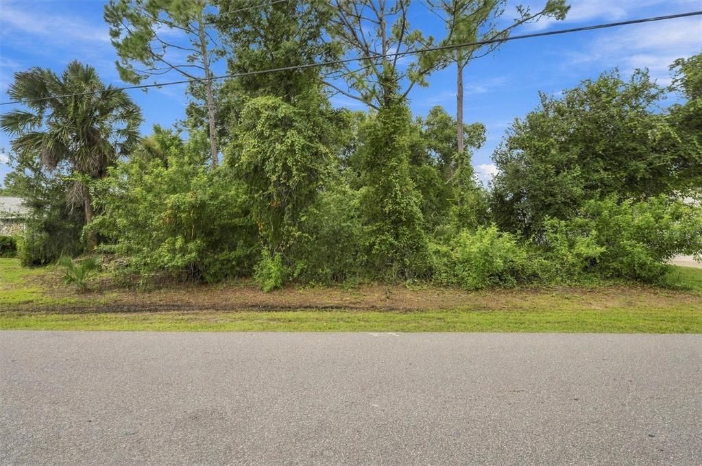 For Sale: $50,000 (0.25 acres)