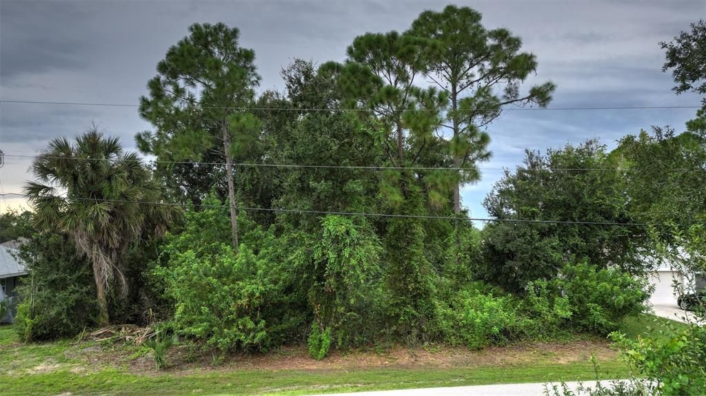 For Sale: $50,000 (0.25 acres)