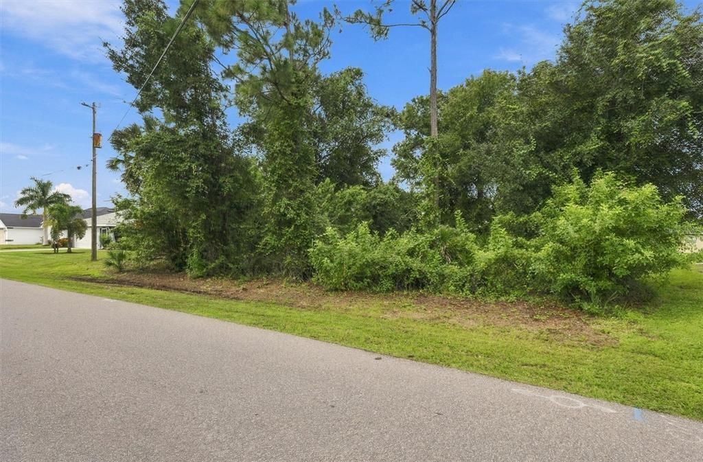 For Sale: $50,000 (0.25 acres)