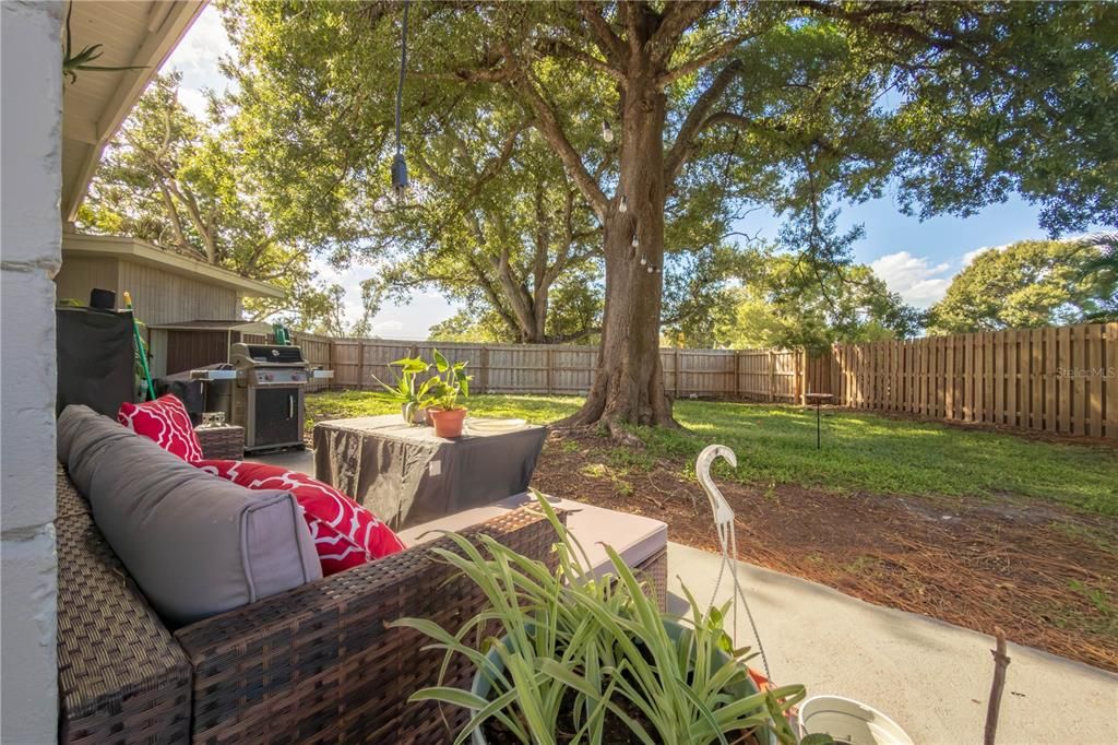 For Sale: $455,000 (3 beds, 2 baths, 1801 Square Feet)