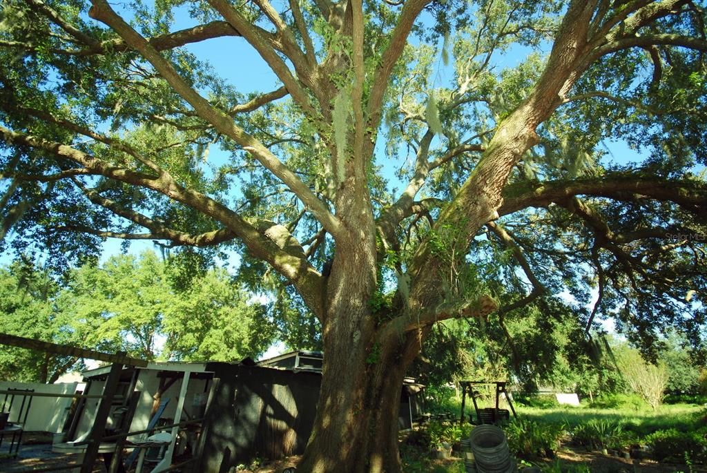 For Sale: $200,000 (4 beds, 1 baths, 1904 Square Feet)