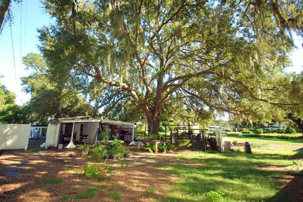 For Sale: $200,000 (4 beds, 1 baths, 1904 Square Feet)